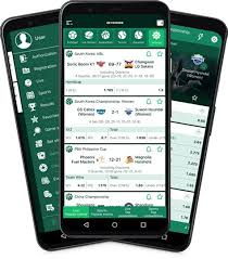 Betwinner République Démocratique du Congo Your Gateway to Exciting Betting Opportunities